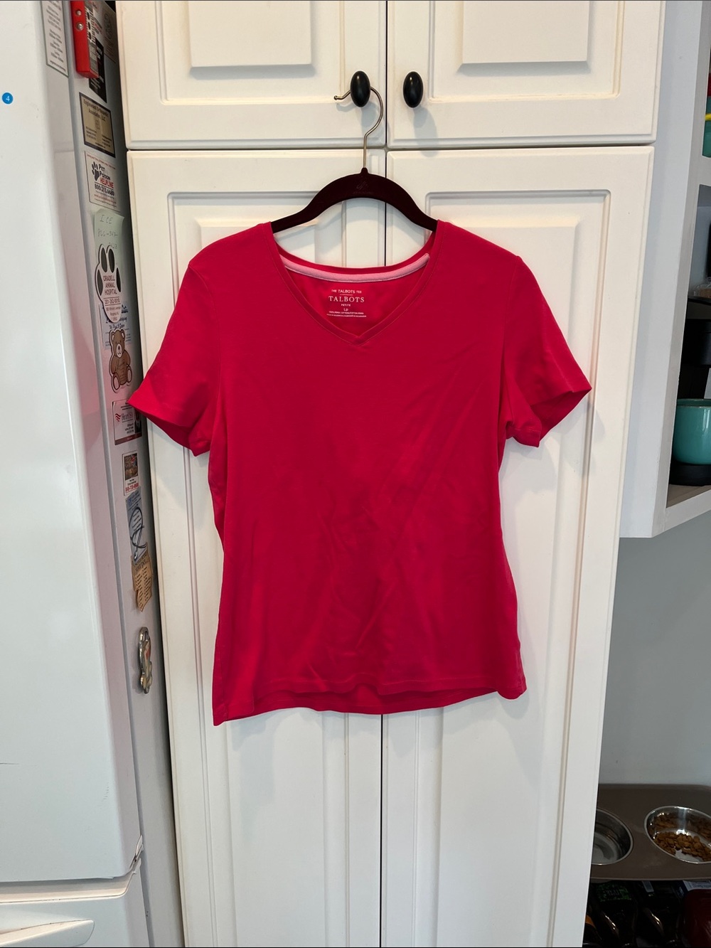 Talbots VNeck TeeShirt. L/P